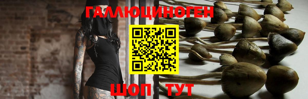 Псилоцибиновые грибы Каменка